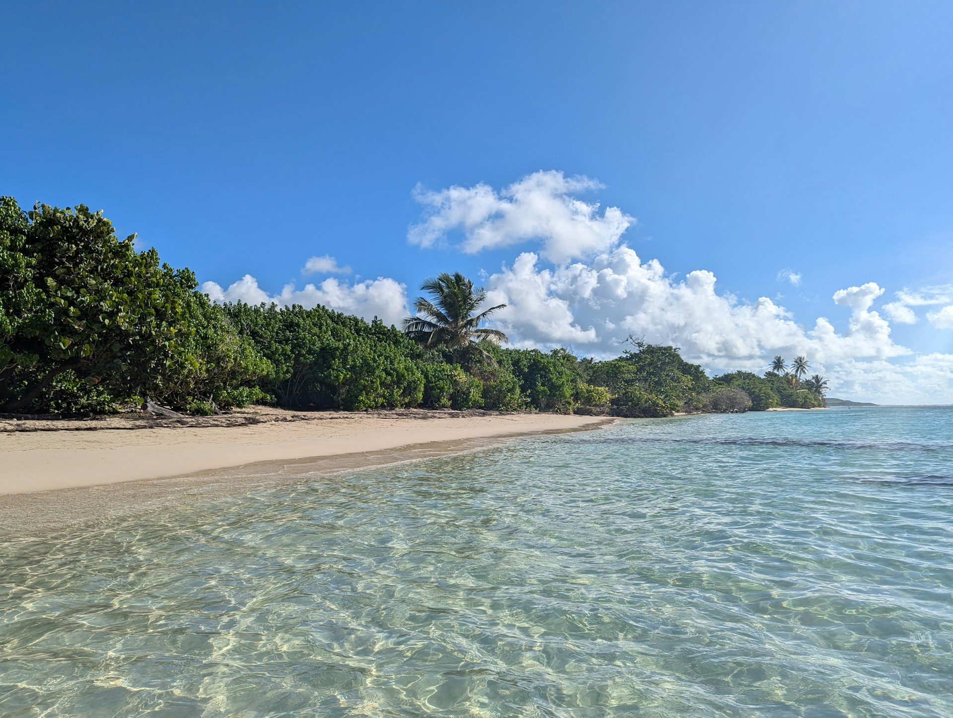 LES SAINTES ISLANDS